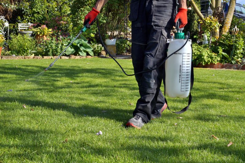 Lawn Weed Control in Ventura County, CA