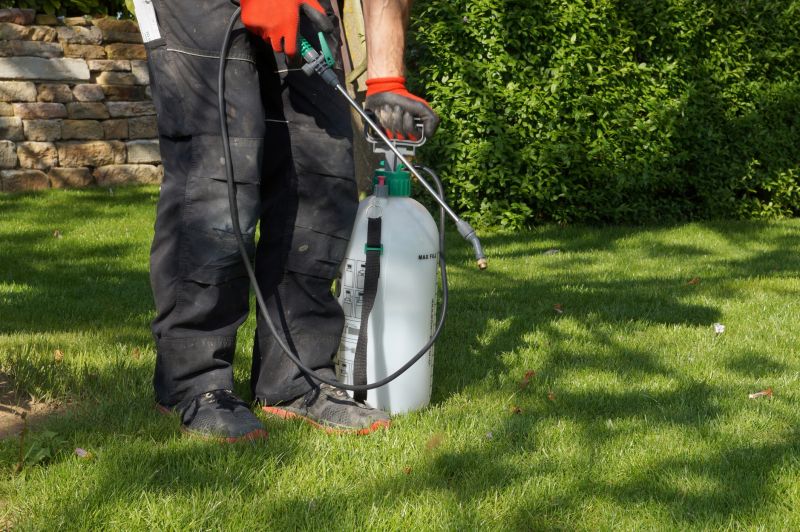 Lawn Weed Treatment in Honolulu, HI