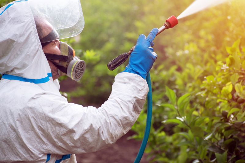 Lawn Weed Treatment in Honolulu, HI