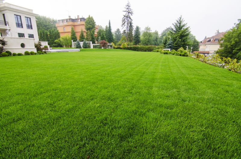 Residential Lawn Care